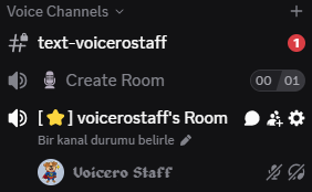 Voicero Room Example